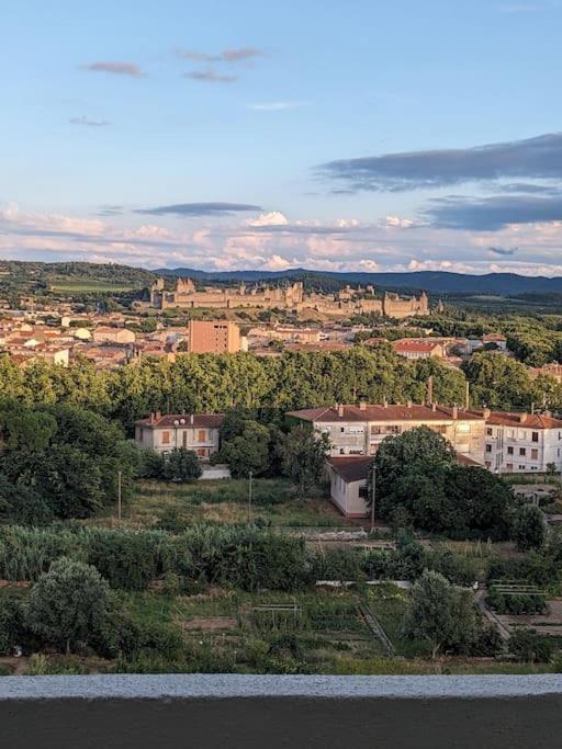 Apartment - Vue Imprenable Sur La Cite Medievale - Parking Gratuit - Climatise *